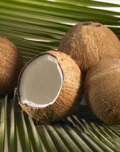 Eine unserer besonderen Kompetenz: Kokosnusserzeugnisse!